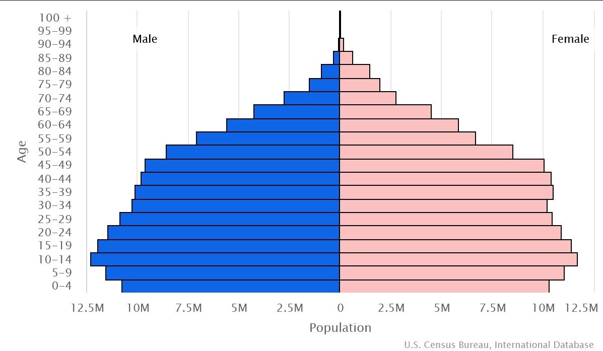 Age pyramid of Indonesia