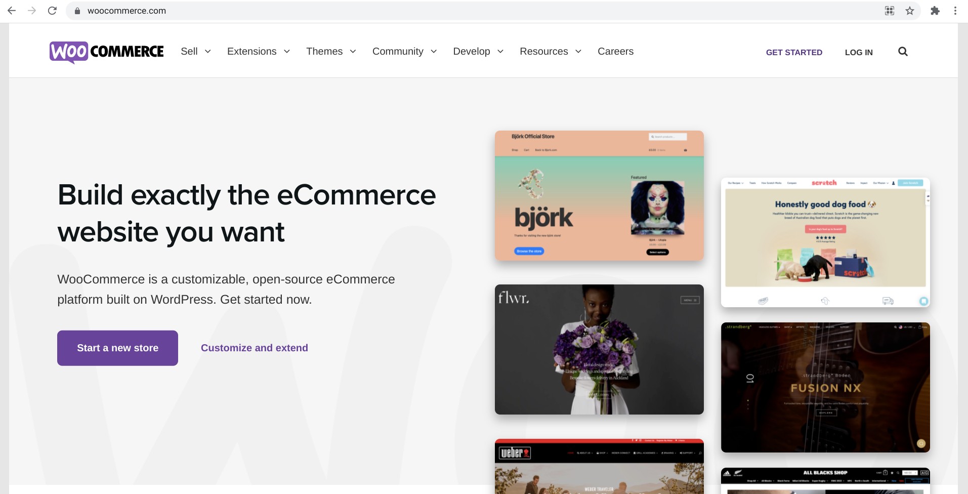 Screenshot of woocommerce.com/products displaying a webshop theme