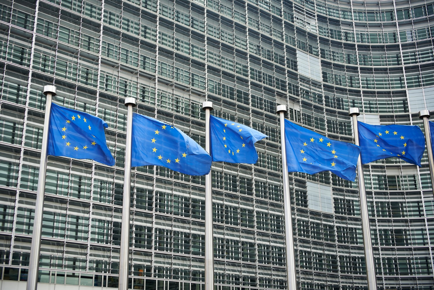 Illustration: EU flags flying in front of the European Commission’s Headquarters in Brussels